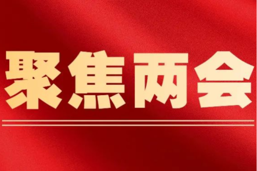 多位代表委員建議：重視生物質(zhì)能負(fù)碳屬性，推動(dòng)生物質(zhì)能源產(chǎn)業(yè)發(fā)展