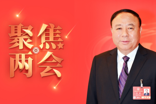 全國人大代表李寅2025年建議之四--盡快解決農(nóng)林生物質(zhì)發(fā)電可再生能源電價附加補助拖欠問題，化解行業(yè)經(jīng)營風(fēng)險的建議
